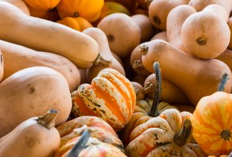 Heirloom Seeds: Not Just Tomatoes